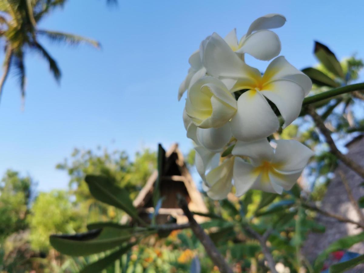 Coco Reef Ecolodge Кизимкази Экстерьер фото