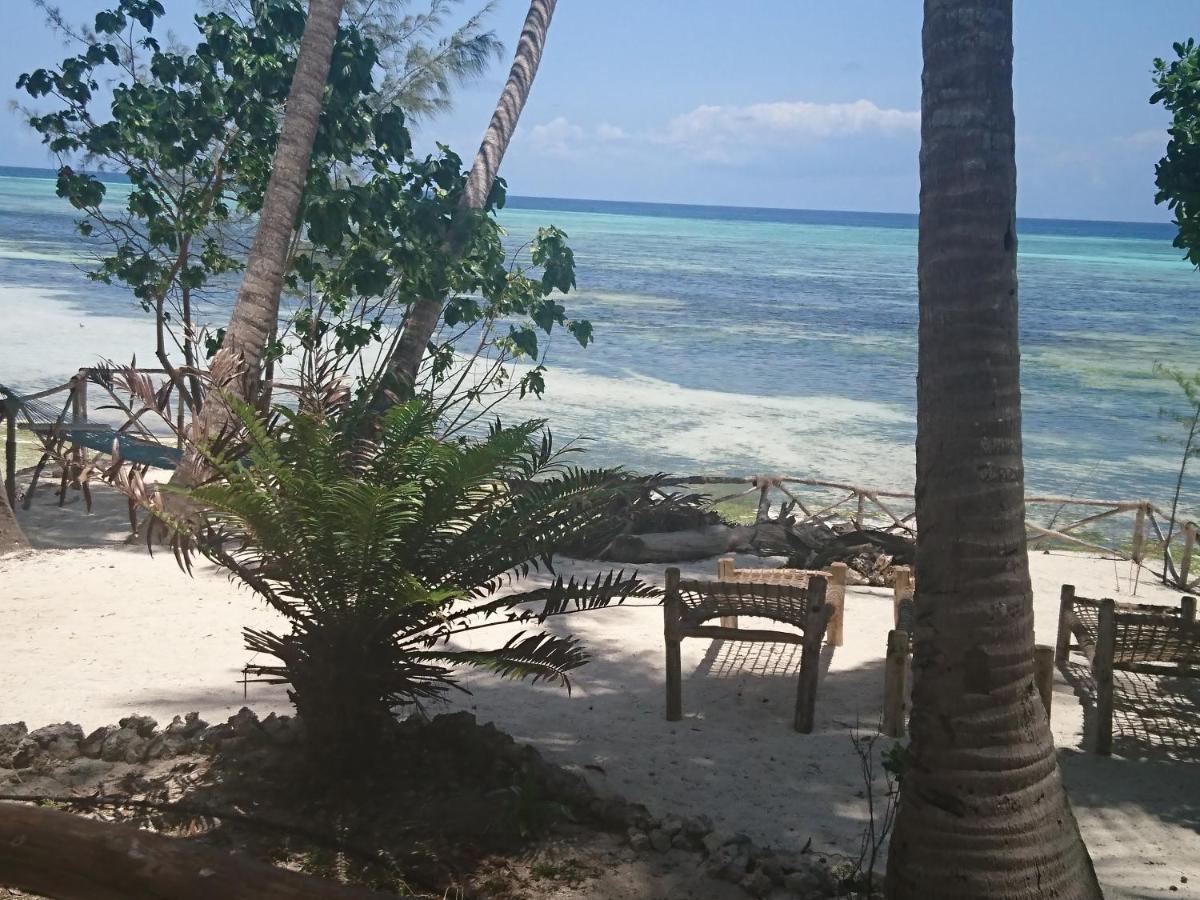 Coco Reef Ecolodge Кизимкази Экстерьер фото