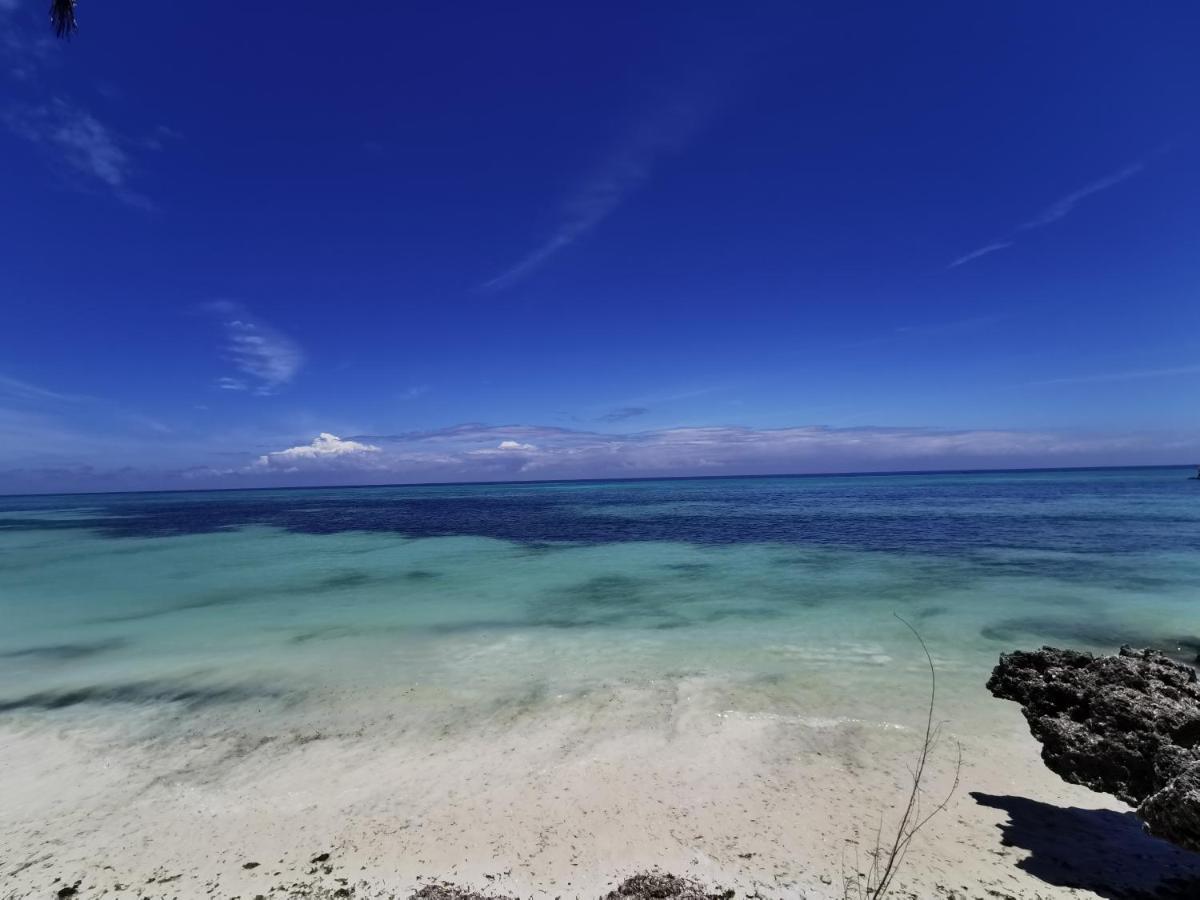 Coco Reef Ecolodge Кизимкази Экстерьер фото