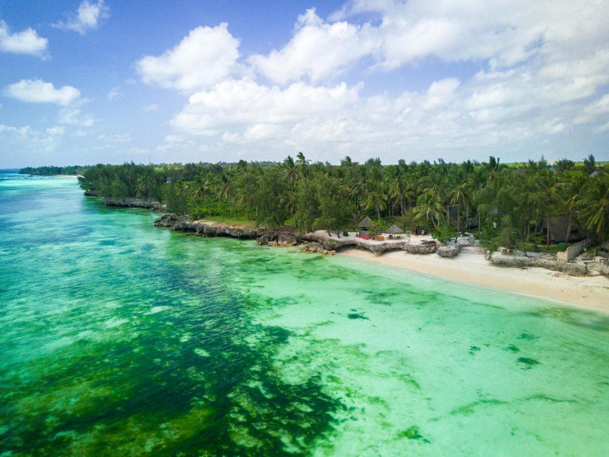 Coco Reef Ecolodge Кизимкази Экстерьер фото