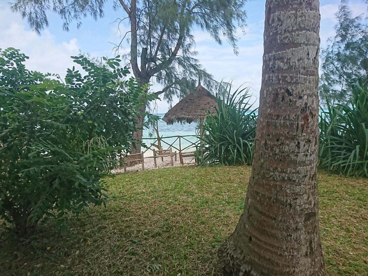 Coco Reef Ecolodge Кизимкази Экстерьер фото