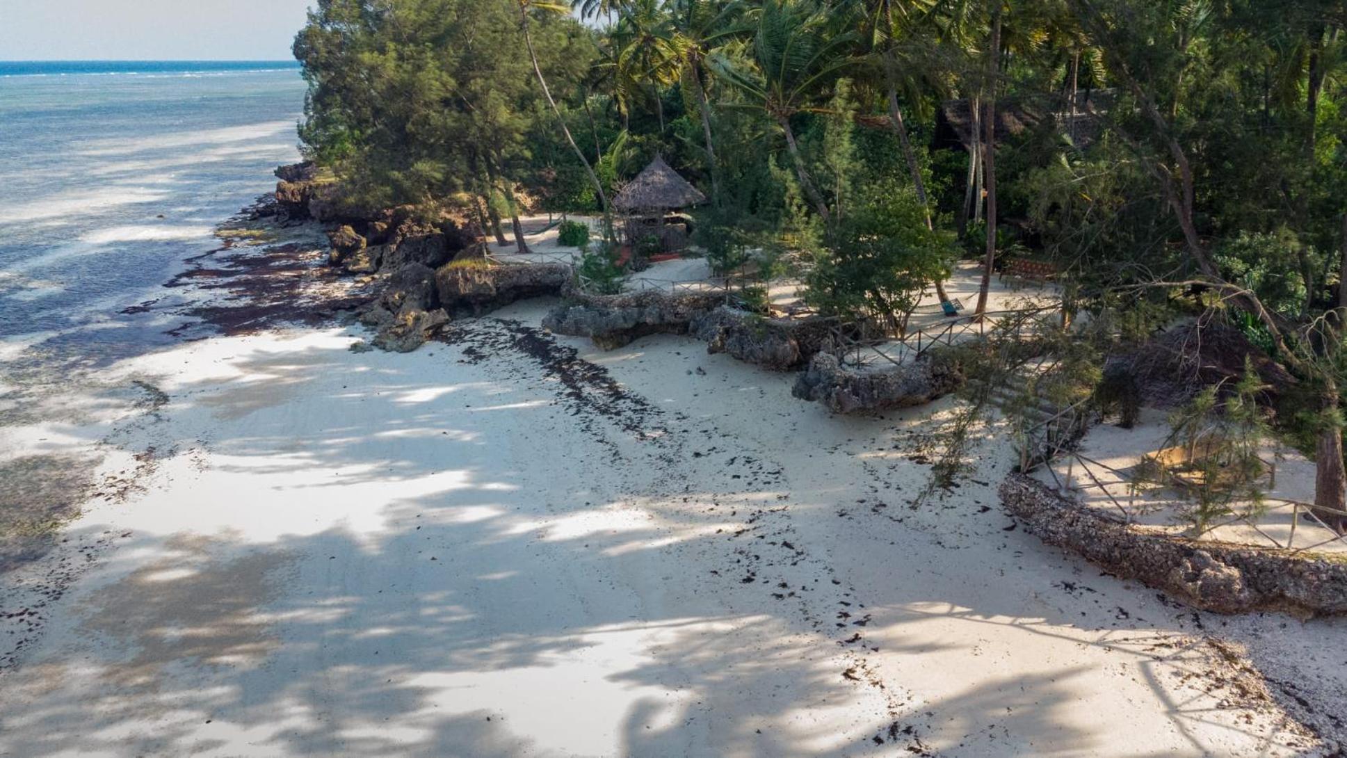 Coco Reef Ecolodge Кизимкази Экстерьер фото